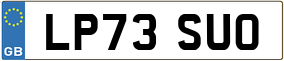 Truck License Plate